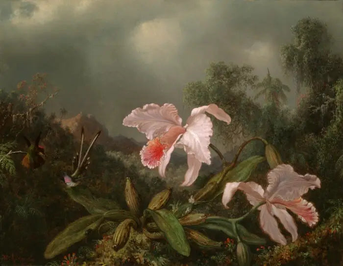 정글의 난초와 벌새 - 마틴 존슨 헤이드

Source:
Orchidées de la jungle et colibris - Martin Johnson Heade