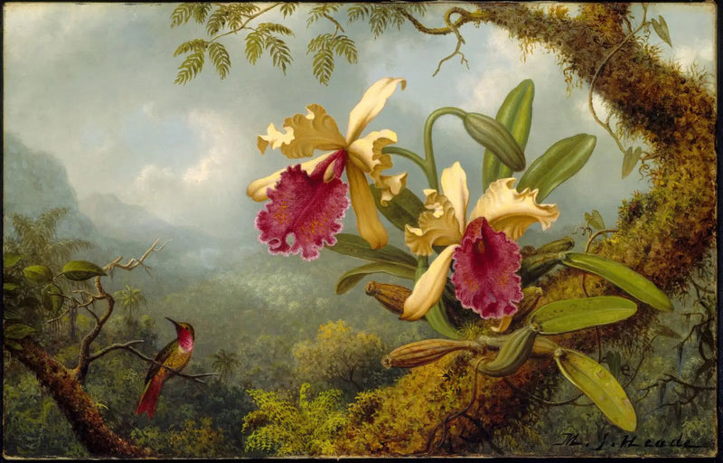 오키드와 콜리브리 - 마틴 존슨 헤이드

Source:
Orchidées et colibri - Martin Johnson Heade