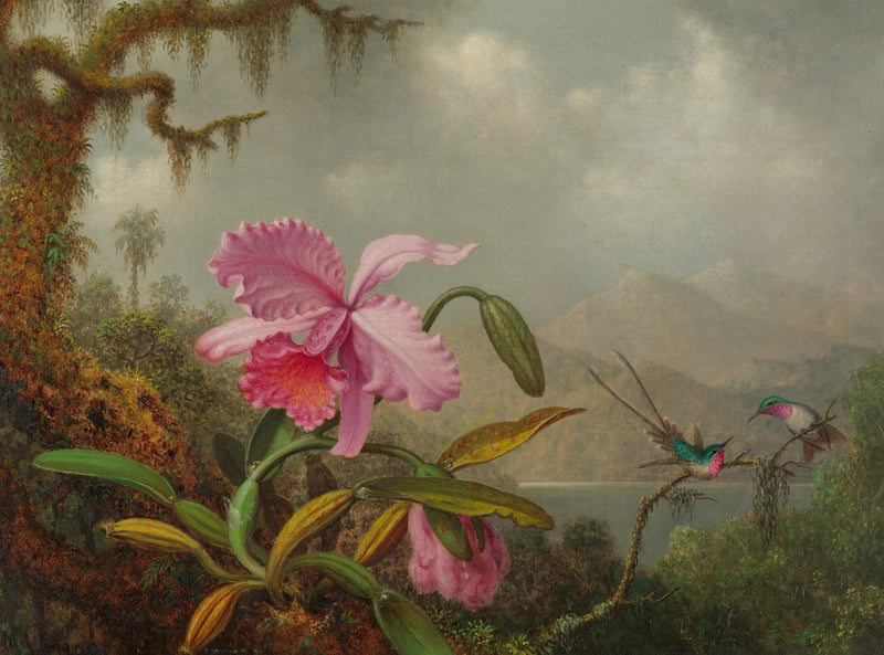 난초와 벌새 - 마틴 존슨 헤이드

Source:
Orchidées et colibris - Martin Johnson Heade