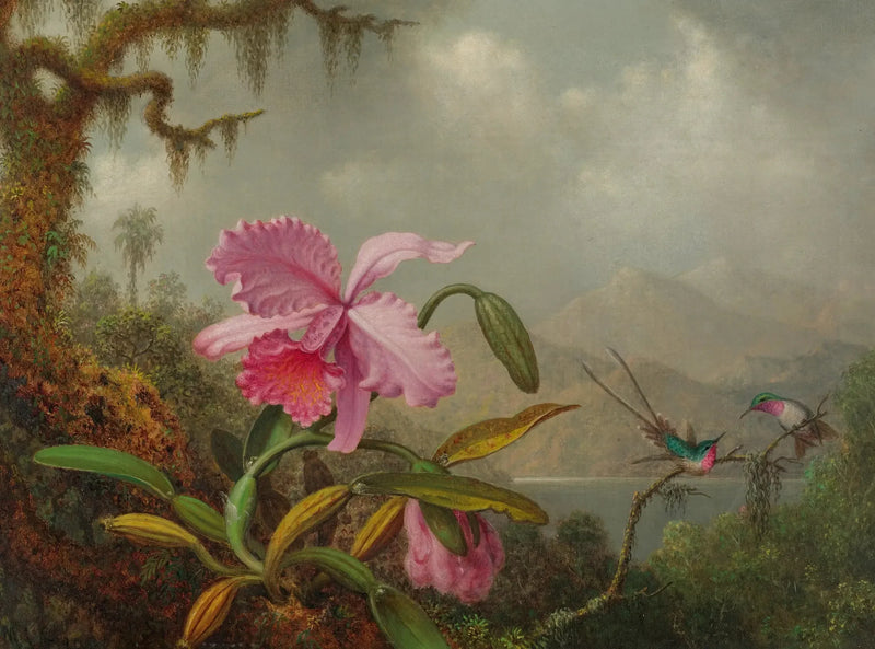 난초와 벌새 - 마틴 존슨 헤이드

Source:
Orchidées et colibris - Martin Johnson Heade