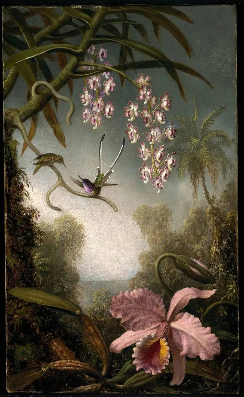 히아신스와 분무기 속의 난초 - 마틴 존슨 헤이드

Source:
Orchidées et orchidées en spray avec colibri - Martin Johnson Heade
