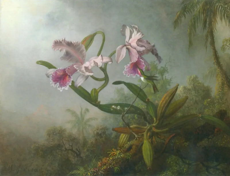 장미 난초와 벌새가 가지에 앉아 있는 모습 - 마틴 존슨 히드

Source:
Orchidées roses et colibri sur une brindille - Martin Johnson Heade