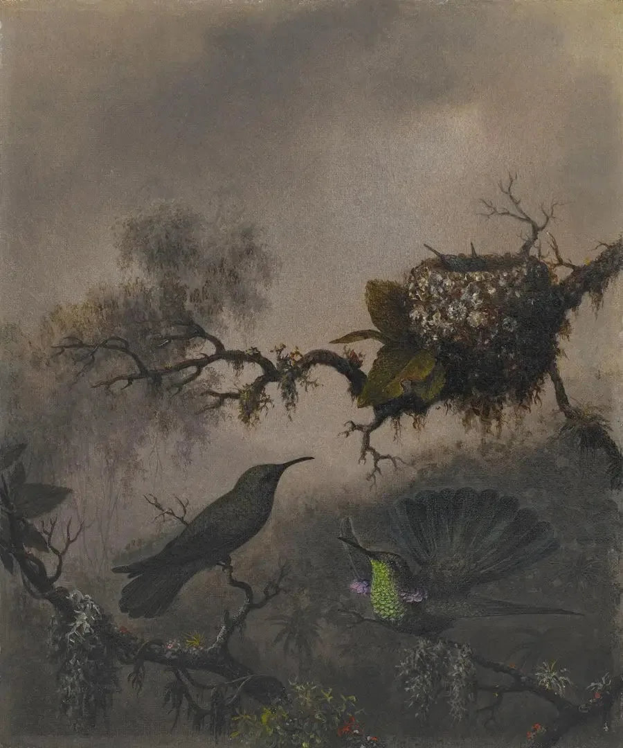 보라색 귀와 흰 배를 가진 귀 - 마틴 존슨 헤이드

Source:
Oreille violette à ventre blanc - Martin Johnson Heade