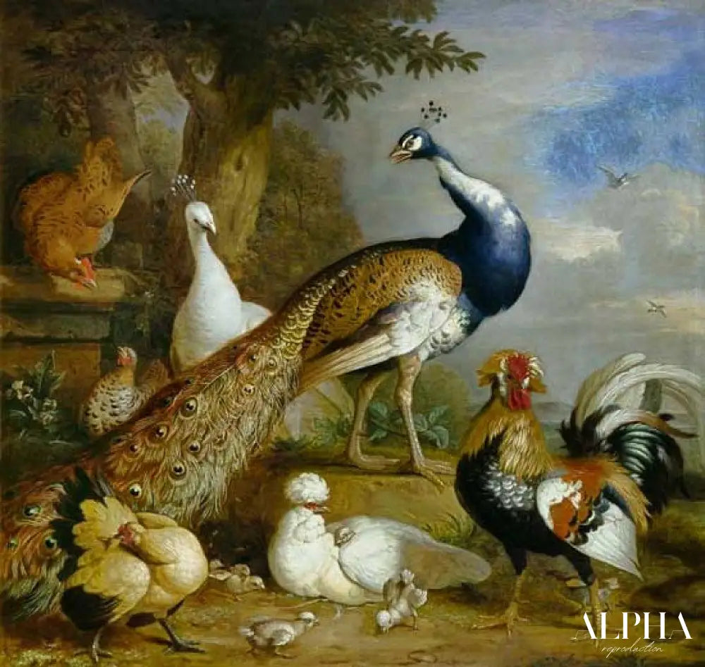 Paon, paon et volaille dans un paysage - Tobias Stranover - Reproductions de tableaux et peintures haut de gamme