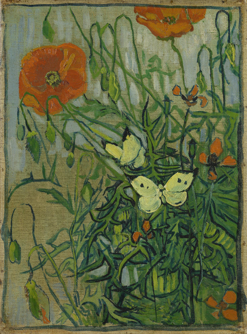 나비와 양귀비 - Vincent van Gogh