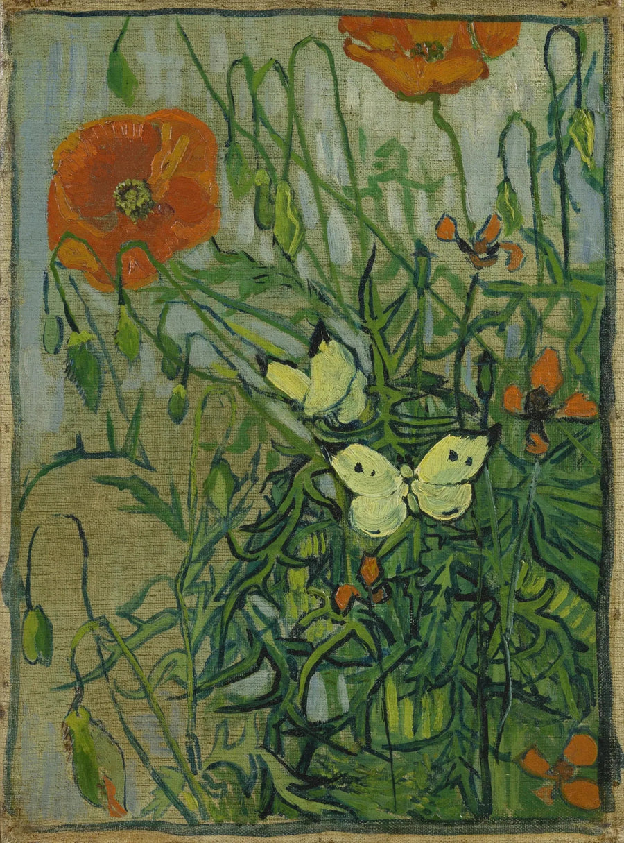 나비와 양귀비 - Vincent van Gogh