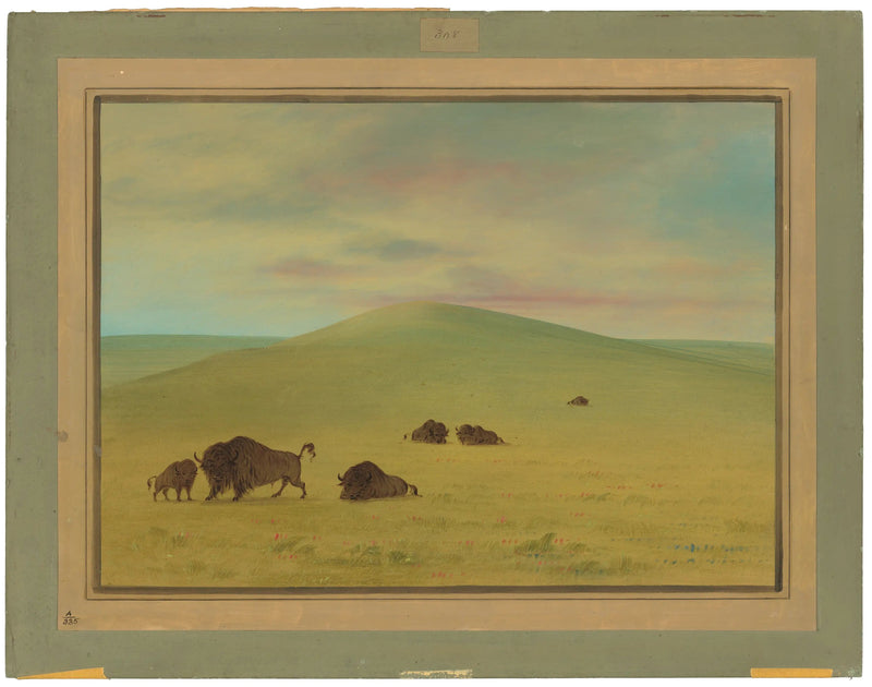 미국 목초지 - 플래트 초원 - 조지 캐틀린

Source:
Pâturage américain - Prairies de la Platte - George Catlin