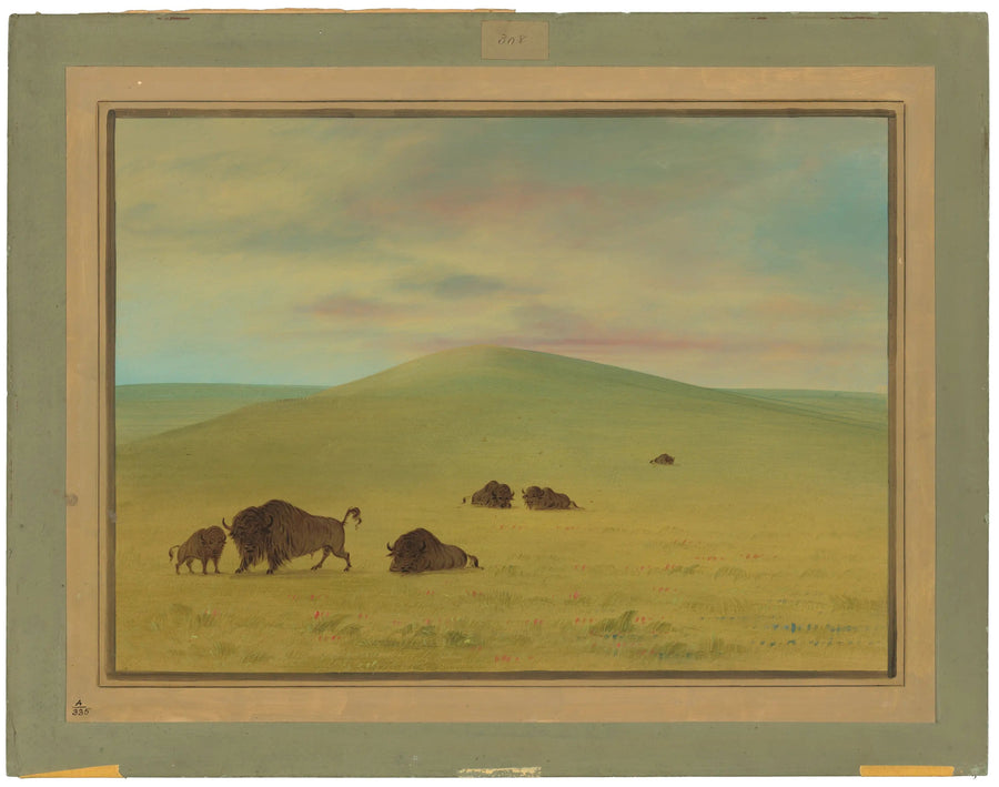 미국 목초지 - 플래트 초원 - 조지 캐틀린

Source:
Pâturage américain - Prairies de la Platte - George Catlin