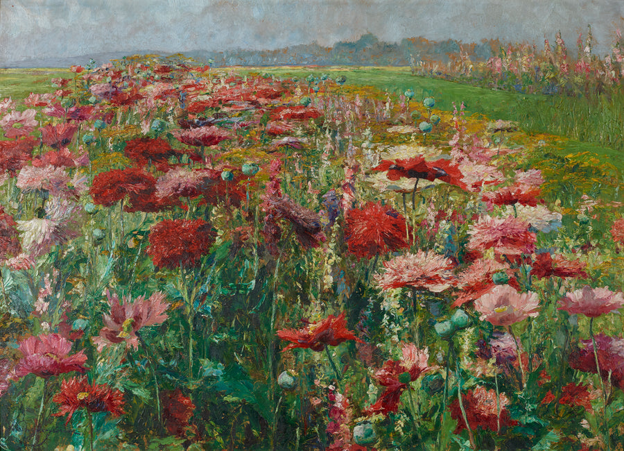 Pavots en fleurs – Olga Wisinger-Florian