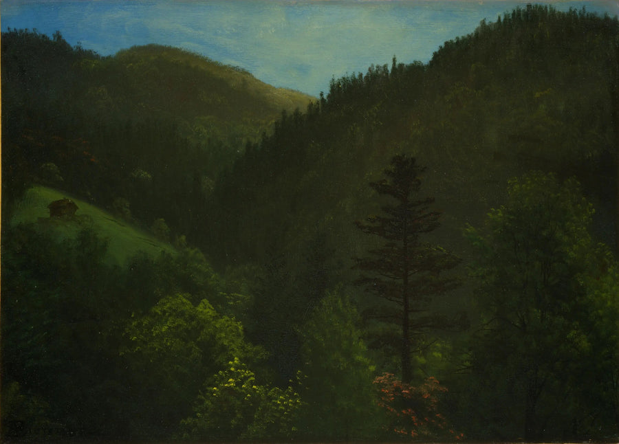 숲이 우거진 풍경 - 알버트 비어슈타트

Source:
Paysage boisé - Albert Bierstadt