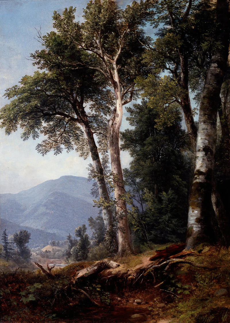 숲이 우거진 풍경 - 애셔 브라운 듀란드

Source:
Paysage boisé - Asher Brown Durand