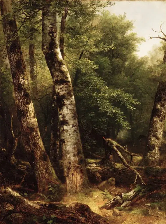 풍경 (자작나무와 참나무) - 애셔 브라운 듀란드

Source:
Paysage (bouleaux et chênes) - Asher Brown Durand