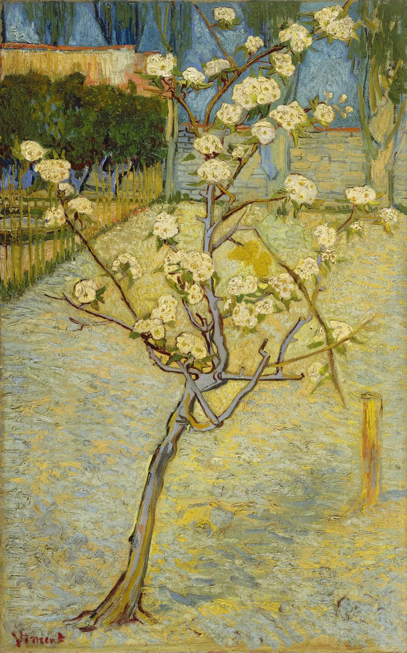 작은 꽃 피는 배나무 - Vincent van Gogh