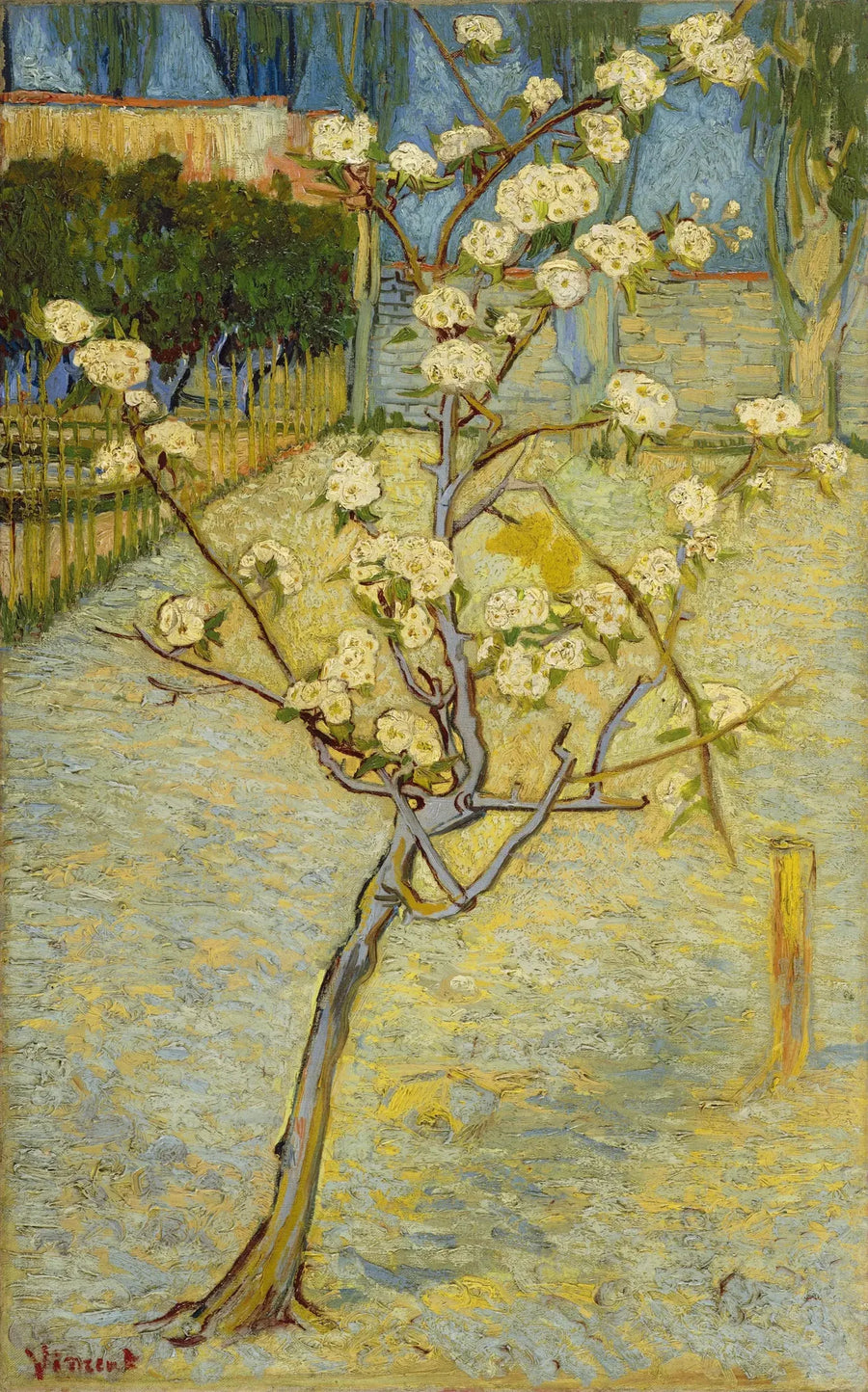 작은 꽃 피는 배나무 - Vincent van Gogh