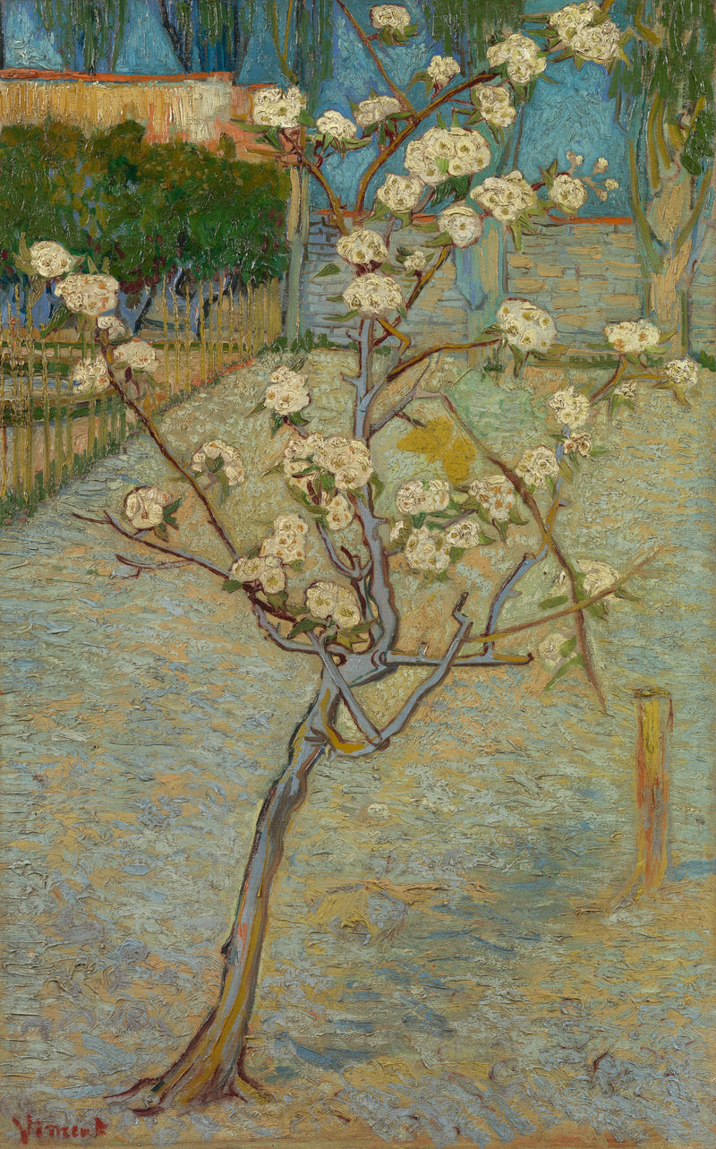 작은 꽃 피는 배나무 - Vincent van Gogh