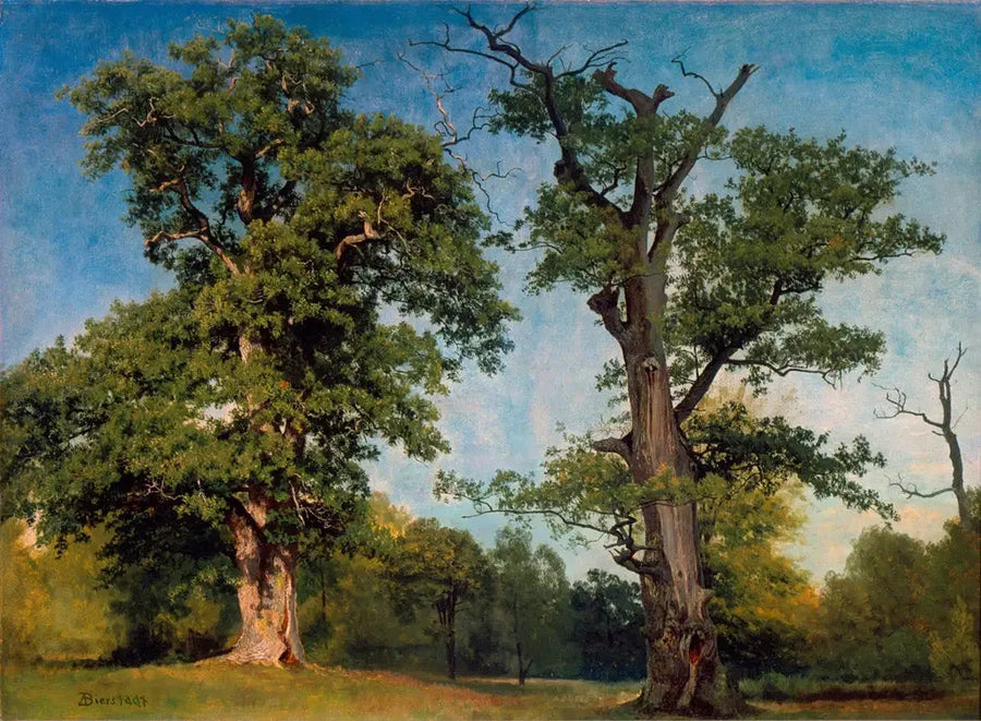 목재 개척자, 캘리포니아 - 알버트 비어슈타트

Source:
Pionniers des bois, Californie - Albert Bierstadt