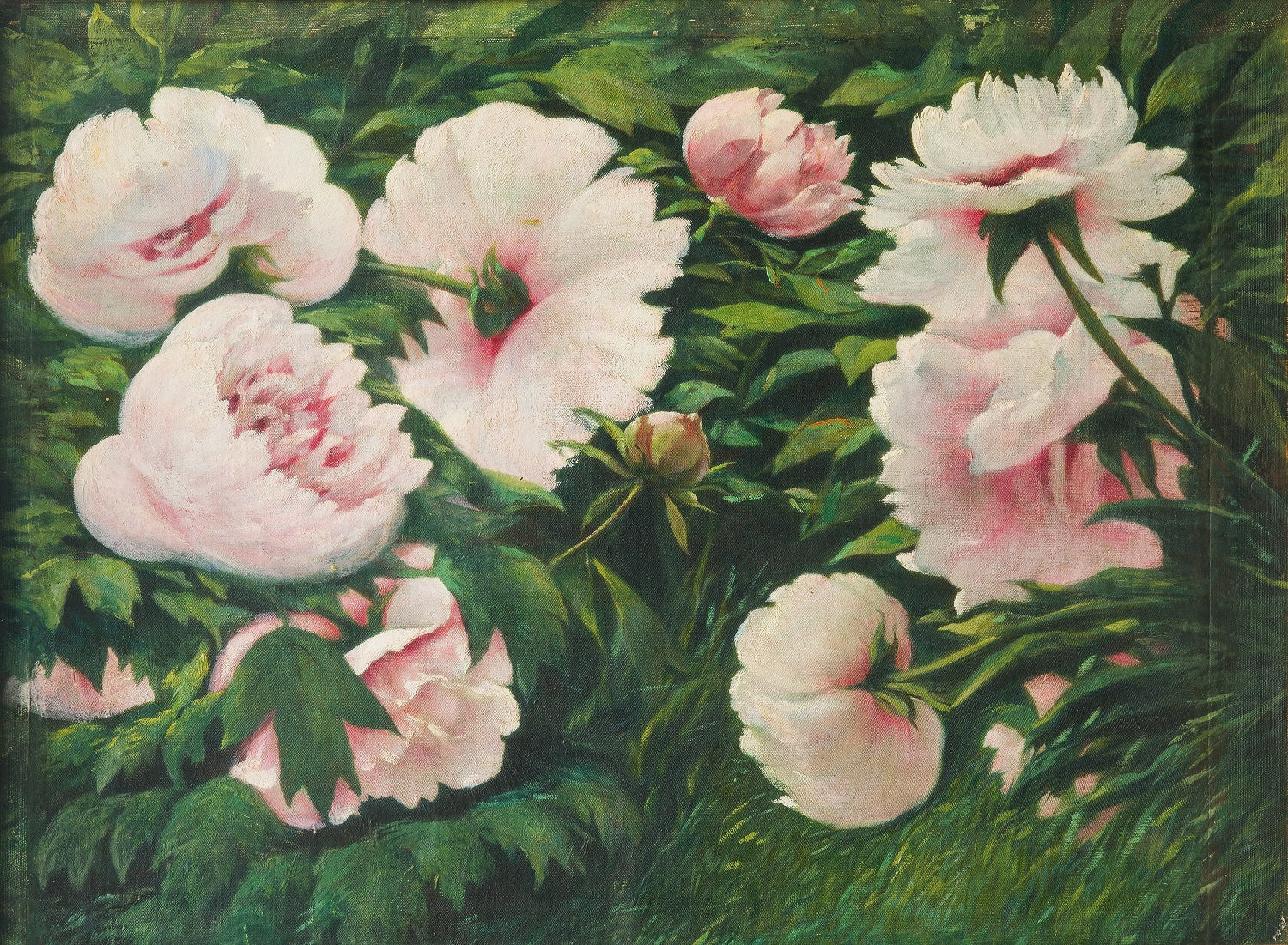 Pivoines roses par Josip Germ, peinture de pivoines