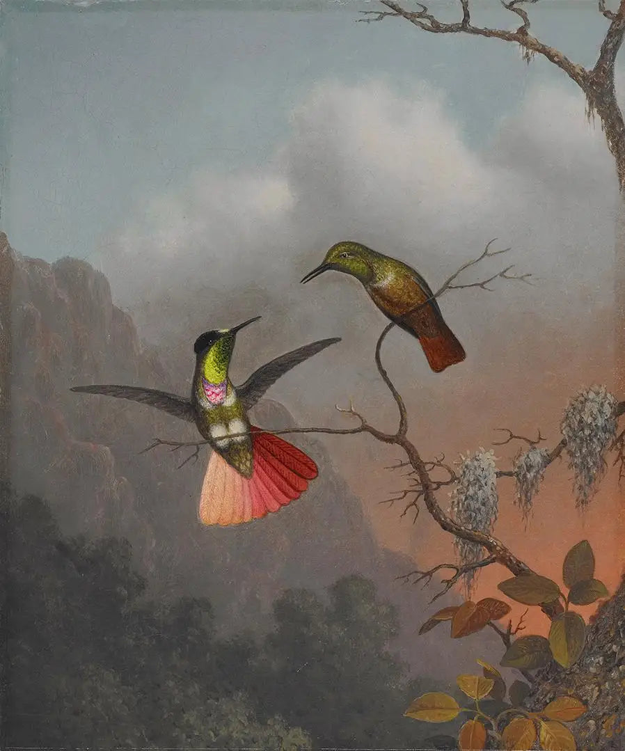 Porteur de visière à capuche - Martin Johnson Heade image 1 reproduction réalisée par Alpha Reproduction