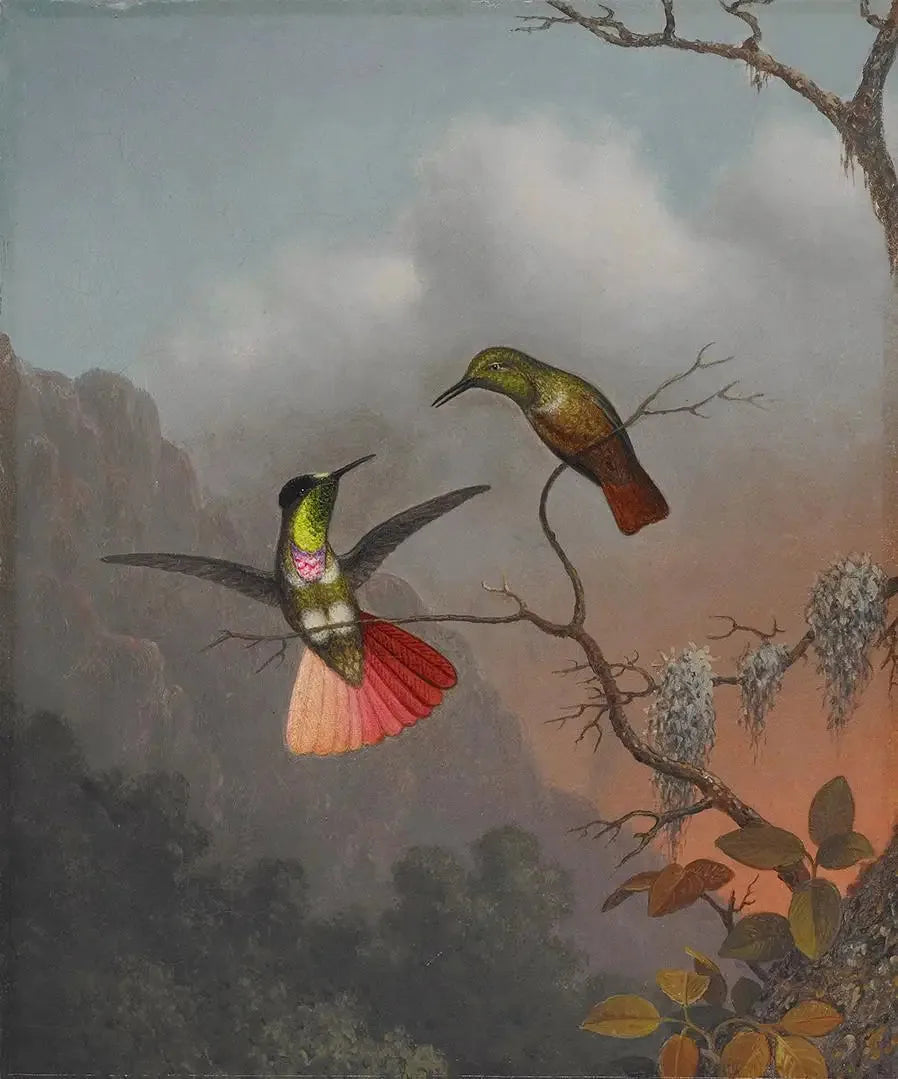 후드형 얼굴 가리개 - 마틴 존슨 헤이드

Source:
Porteur de visière à capuche - Martin Johnson Heade
