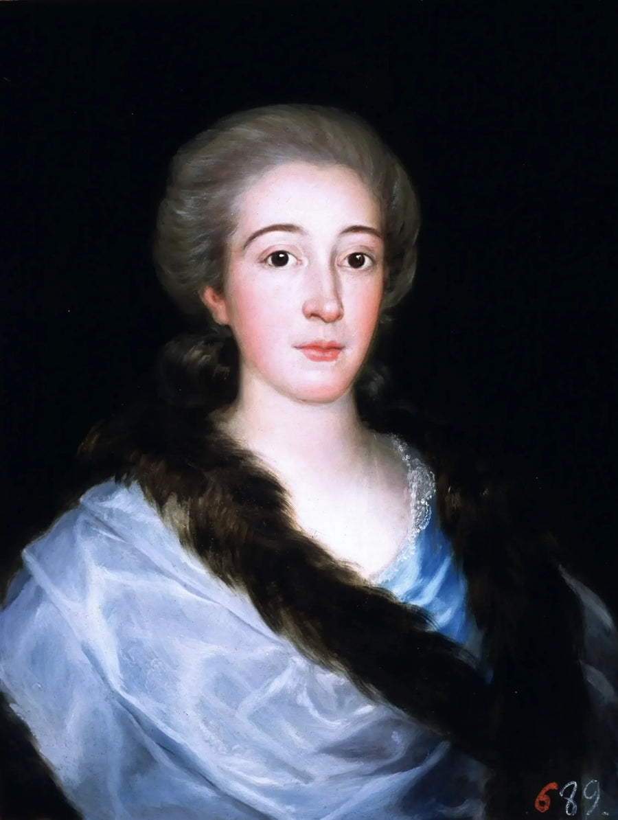 도냐 마리아 테레사 데 바야브리가와 로사스 초상화 (1759-1820) - 프란시스코 고야