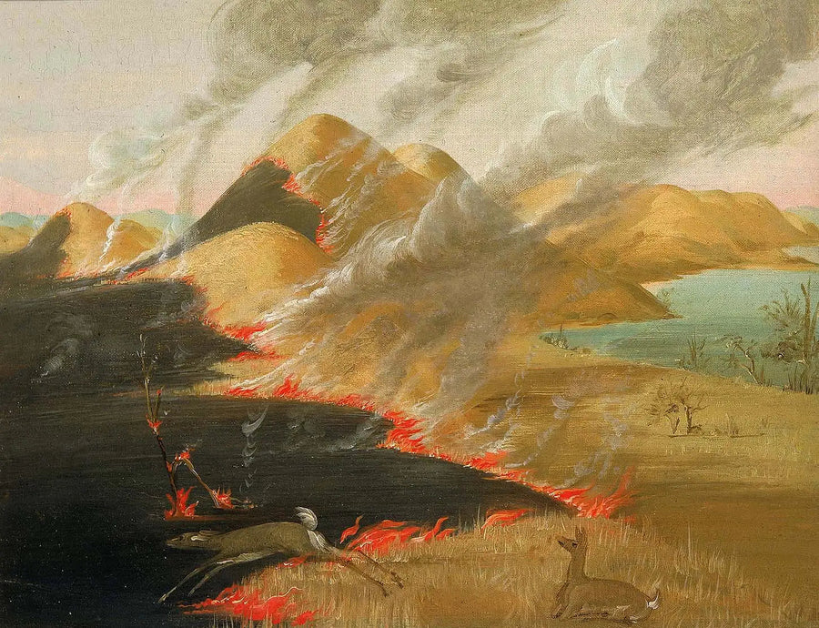 프레리 블러프스 인 푸 - 조지 캐틀린

Source:
Prairie Bluffs en feu - George Catlin