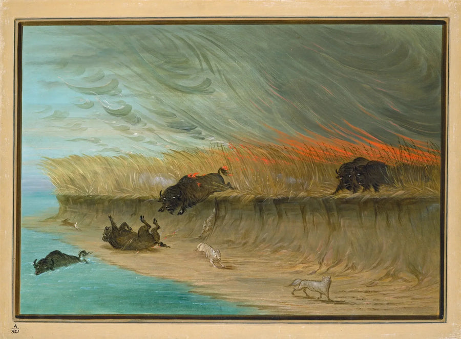 불타는 초원 - 조지 캐틀린

Source:
Prairies en feu - George Catlin