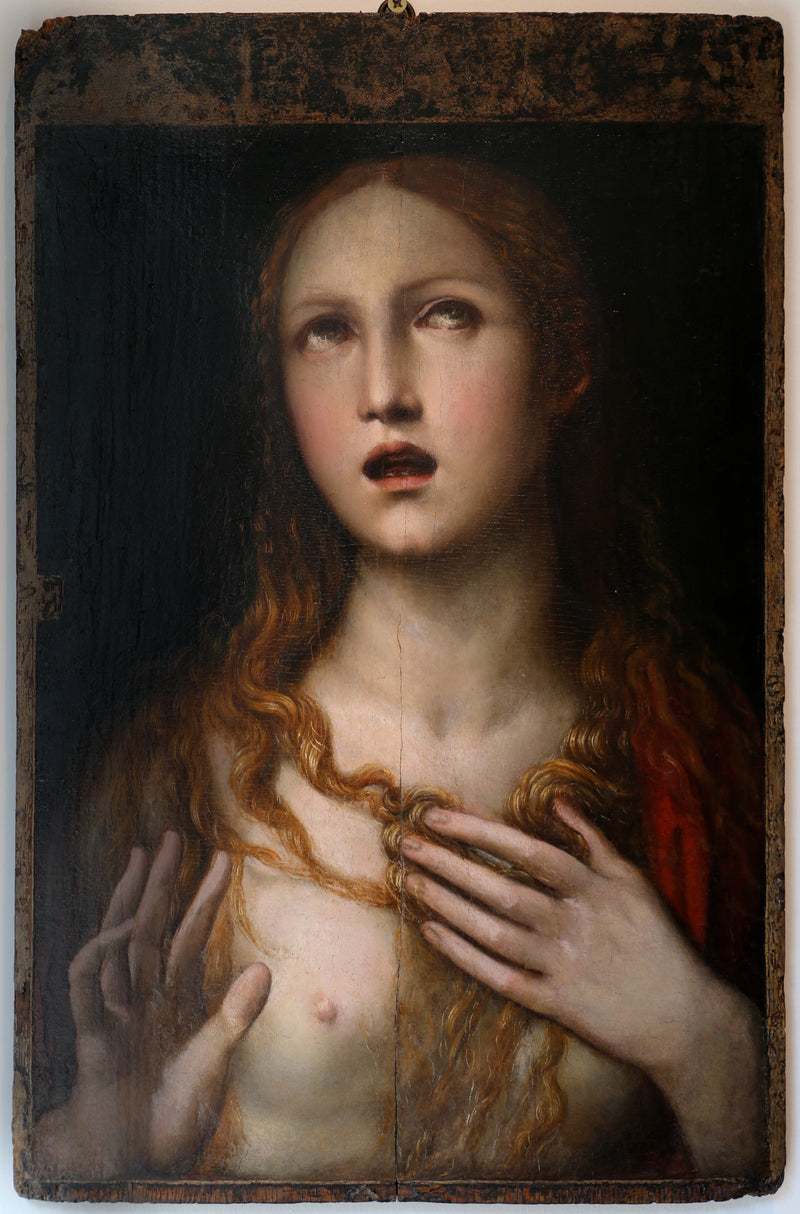 Q117777120 - 일 소도마 (조반니 안토니오 바지)