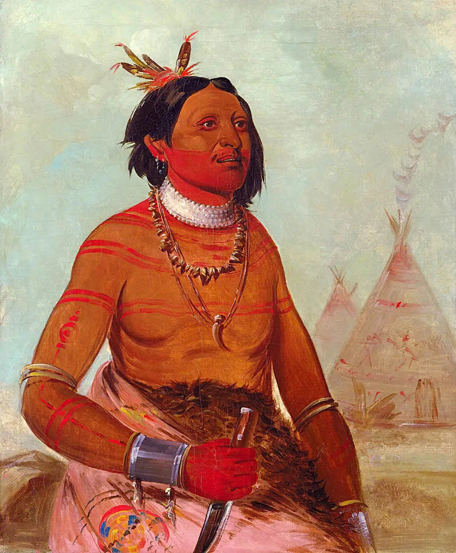 과이-함-케이, 스톤 셸, 용감한 사람 - 조지 캐틀린

Source:
Quáy-hám-kay, Stone Shell, un courageux - George Catlin