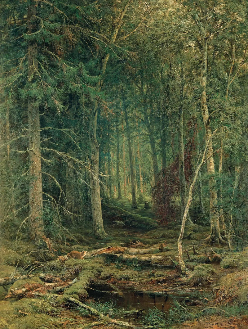 미개발 산림 지역 - 이반 치치킨

Source:
Région forestière inexploitée - Ivan Chichkine