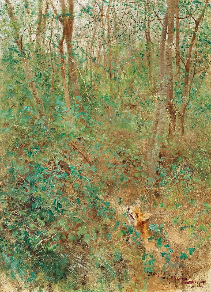 Renard à l'affût des grives - Bruno Liljefors