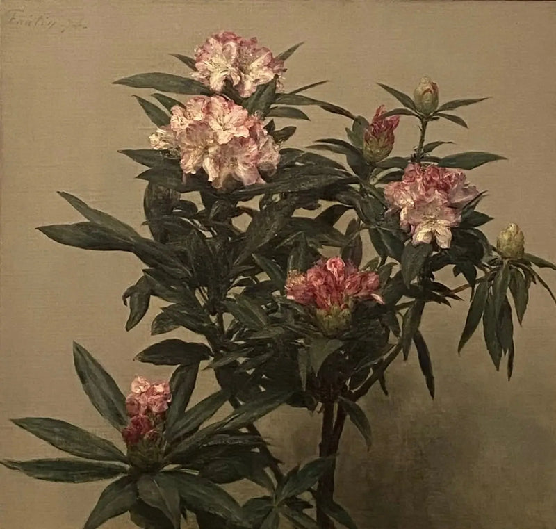 진달래 - 앙리 판탱-라투르

Source:
Rhododendrons - Henri Fantin-Latour
