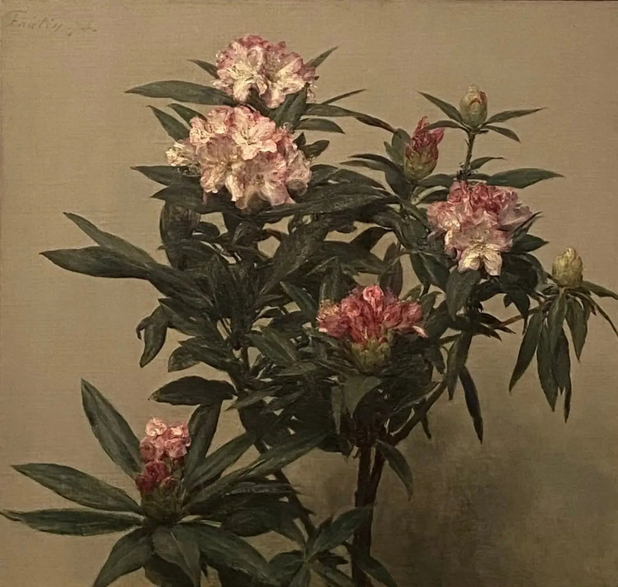 진달래 - 앙리 판탱-라투르

Source:
Rhododendrons - Henri Fantin-Latour
