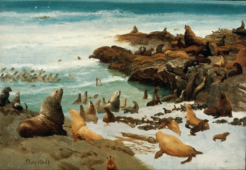 바다표범 바위, 파랄론 - 알버트 비어슈타트

Source:
Rochers des phoques, Farallons - Albert Bierstadt
