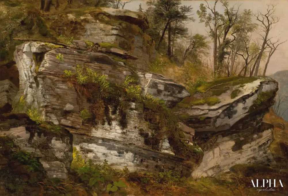 Rocky Cliff, 1860 - Asher Brown Durand - Reproductions de tableaux et peintures haut de gamme