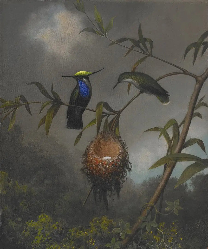 검은 가슴 참새 - 마틴 존슨 헤이드

Source:
Roitelet à poitrine noire - Martin Johnson Heade