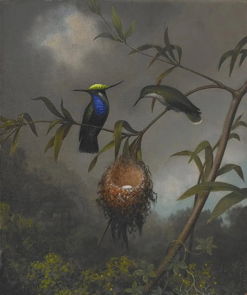 검은 가슴 참새 - 마틴 존슨 헤이드

Source:
Roitelet à poitrine noire - Martin Johnson Heade