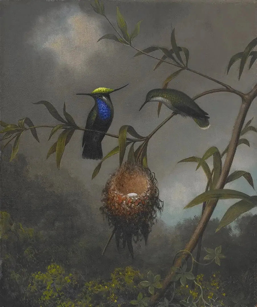 검은 가슴 참새 - 마틴 존슨 헤이드

Source:
Roitelet à poitrine noire - Martin Johnson Heade