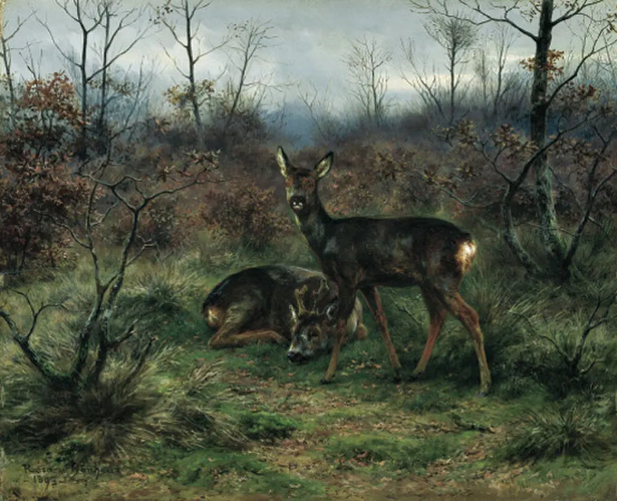 Young deer in a forest clearing - Rosa Bonheur