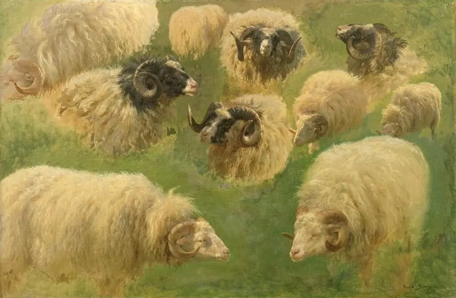 Dix études de bélier, peinture de Rosa Bonheur