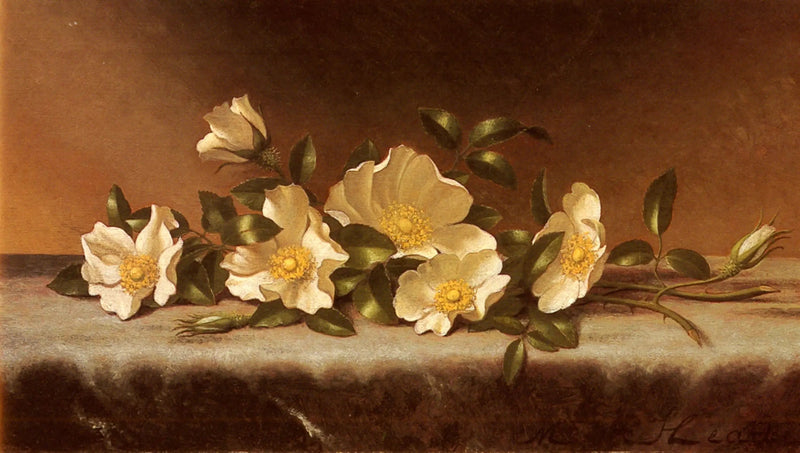 연한 회색 천 위의 장미 체로키 - 마틴 존슨 헤이드

Source:
Roses Cherokee sur un tissu gris clair - Martin Johnson Heade