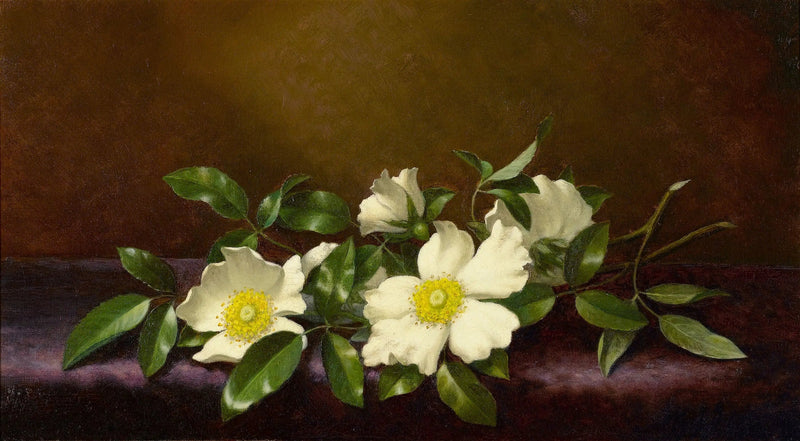 보라색 천 위의 로즈 체로키 - 마틴 존슨 헤이드

Source:
Roses Cherokee sur un tissu violet - Martin Johnson Heade
