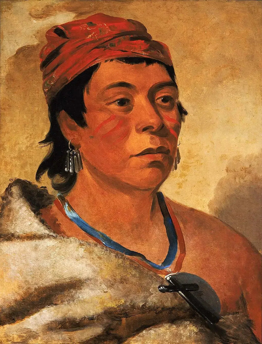 라운드 아일랜드, 전사 - 조지 캐틀린

Source:
Round Island, un guerrier - George Catlin