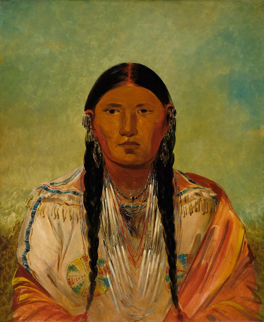 루통위메, 비둘기 날개 위에 - 조지 캐틀린

Source:
Ru-ton-wee-me, Pigeon sur l'aile - George Catlin