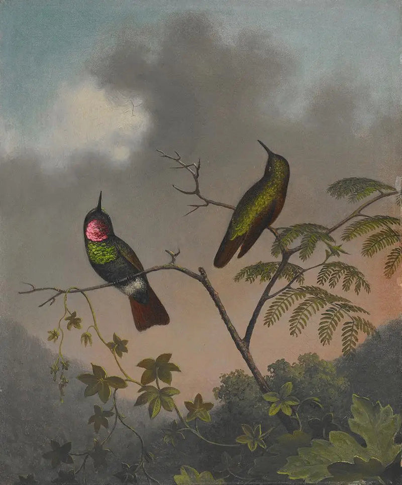 루비 브라질리언 - 마틴 존슨 헤이드

Source:
Rubis brésilien - Martin Johnson Heade