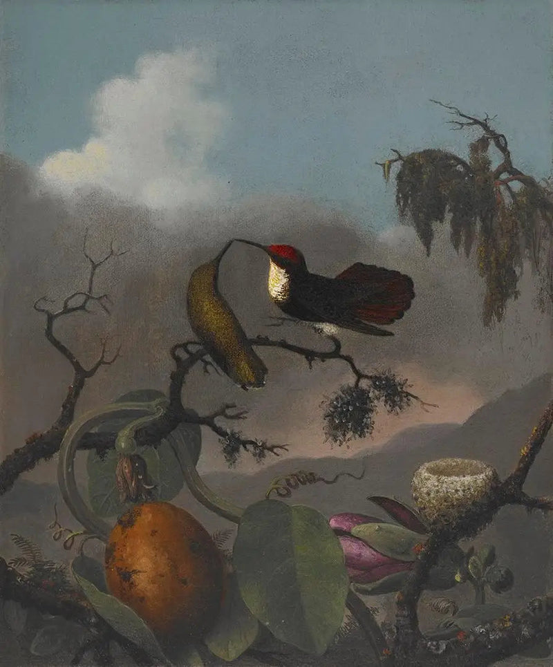 루비-토파즈 - 마틴 존슨 히드

Source:
Rubis-Topaze - Martin Johnson Heade