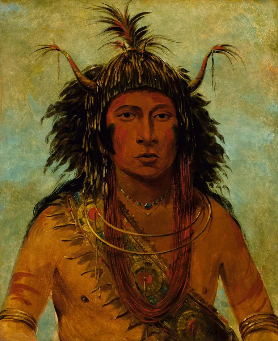 세이세이곤, 우박 폭풍, 전쟁의 장군 - 조지 캐틀린

Source:
Say-say-gon, Tempête de grêle, Chef de guerre - George Catlin