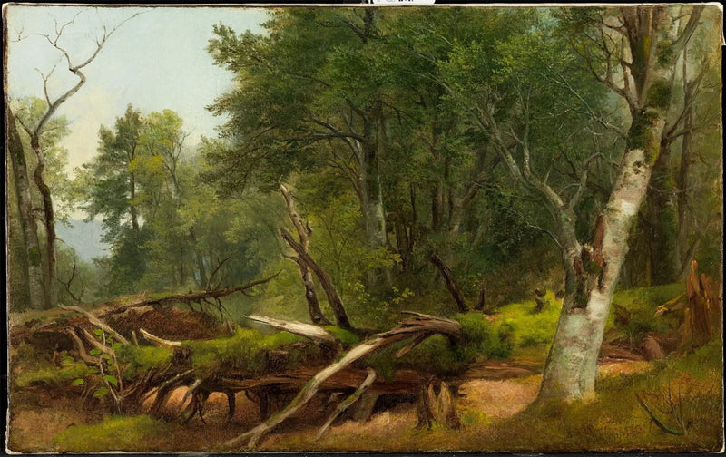 캐츠킬 숲속 풍경 - 애셔 브라운 듀란드

Source:
Scène de forêt dans les Catskills - Asher Brown Durand
