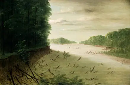 바하이 미시시피 강의 풍경 - 조지 캐틀린

Source:
Scène du Bas-Mississippi - George Catlin