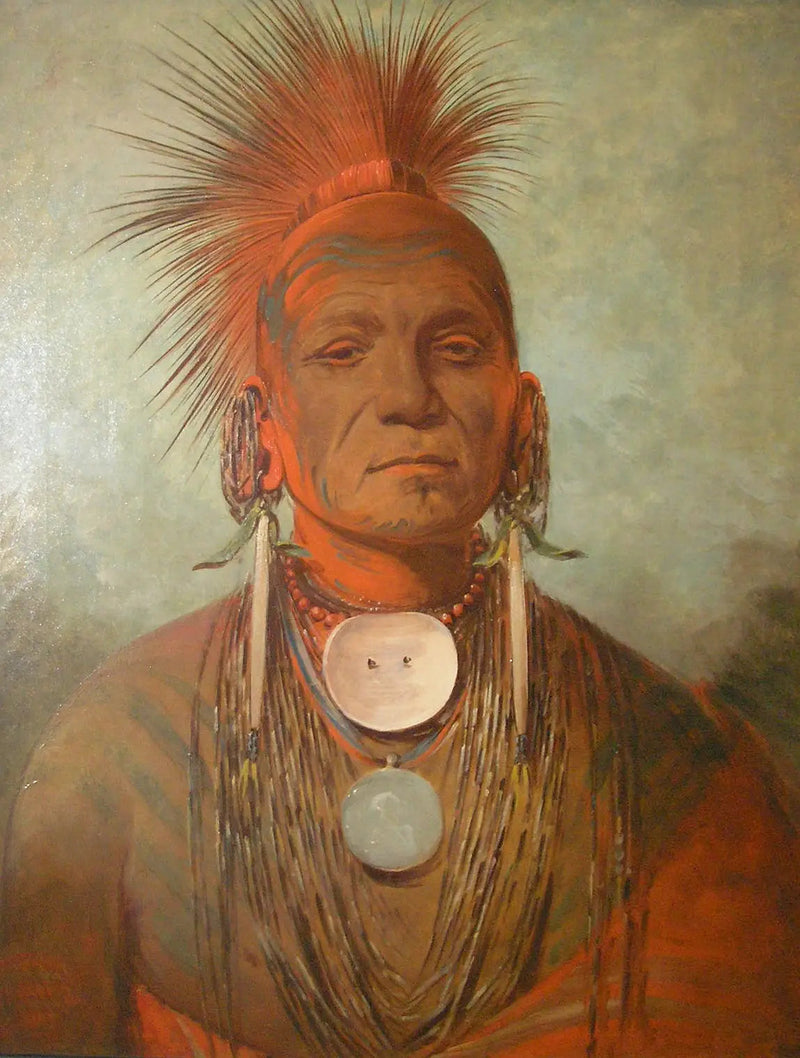 아이오와의 치유사인 시-논-티-아 - 조지 캐틀린

Source:
See-non-ty-a, un guérisseur de l'Iowa - George Catlin