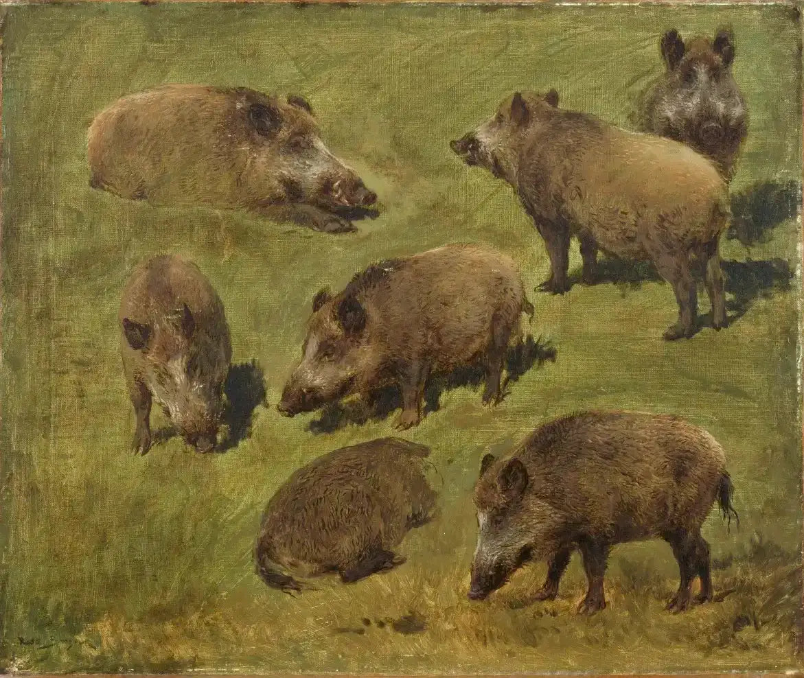 Sept études de sanglier - Rosa Bonheur - Alpha Reproduction